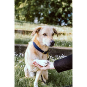 Kentucky Kragen Plaited Nylon Navy Kentucky Kragen Plaited Nylon Navy