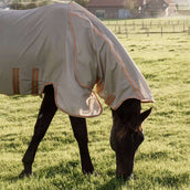 Kentucky Horsewear Fliegendecke Comfort Mesh Beige/Orange Kentucky Horsewear Fliegendecke Comfort Mesh Beige/Orange