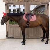 Kentucky Fliegenhaube Wellington Velvet Check Violett Kentucky Fliegenhaube Wellington Velvet Check Violett