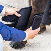 Kentucky Horsewear Eventing Boots 3D Air Flow Hind Schwarz Kentucky Horsewear Eventing Boots 3D Air Flow Hind Schwarz