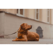 Kentucky Kragen Plaited Nylon Beige Kentucky Kragen Plaited Nylon Beige