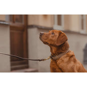 Kentucky Kragen Plaited Nylon Beige Kentucky Kragen Plaited Nylon Beige