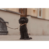 Kentucky Kragen Plaited Nylon Beige Kentucky Kragen Plaited Nylon Beige