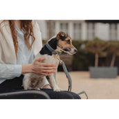 Kentucky HundeKragen Soft Vegan Leather Navy/Beige Kentucky HundeKragen Soft Vegan Leather Navy/Beige