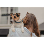 Kentucky HundeKragen Soft Vegan Leather Navy/Beige Kentucky HundeKragen Soft Vegan Leather Navy/Beige