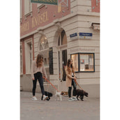 Kentucky HundeKragen Soft Vegan Leather Navy/Beige Kentucky HundeKragen Soft Vegan Leather Navy/Beige