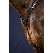 Dyon Brustgeschirr Bridge New English Collection Braun Dyon Brustgeschirr Bridge New English Collection Braun