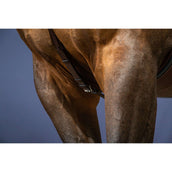 Dyon Brustgeschirr Bridge New English Collection Braun Dyon Brustgeschirr Bridge New English Collection Braun