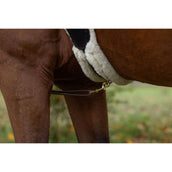 Covalliero Brustgeschirr Led Reflexion Covalliero Brustgeschirr Led Reflexion