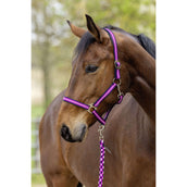 Covalliero Halfter SS26 Dark Navy/Light Berry Covalliero Halfter SS26 Dark Navy/Light Berry