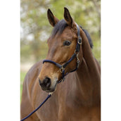 Covalliero Halfter SS26 Dunkle Navy Covalliero Halfter SS26 Dunkle Navy