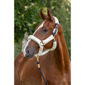 Covalliero Halfter Supersoft 2.0 Blau Covalliero Halfter Supersoft 2.0 Blau