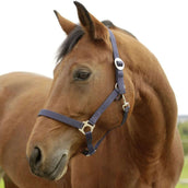 Covalliero Halfter Hippo Nylon Marine Covalliero Halfter Hippo Nylon Marine