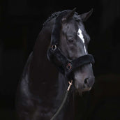 Covalliero Halfter SuperSoft Schwarz Covalliero Halfter SuperSoft Schwarz