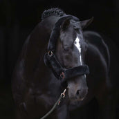 Covalliero Halfter SuperSoft Schwarz Covalliero Halfter SuperSoft Schwarz