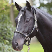 Kerbl Halfter Cordano Olive Kerbl Halfter Cordano Olive