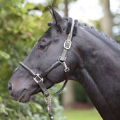 Kerbl Halfter Cordano Olive Kerbl Halfter Cordano Olive