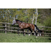 Kingsland Fliegenmaske KLLando mit Ohren Rainy Day Kingsland Fliegenmaske KLLando mit Ohren Rainy Day