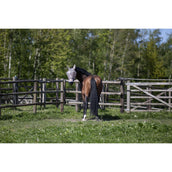 Kingsland Fliegenmaske KLLando mit Ohren Rainy Day Kingsland Fliegenmaske KLLando mit Ohren Rainy Day