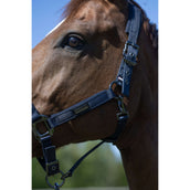 Kingsland Halfterset KLLucca Navy Kingsland Halfterset KLLucca Navy