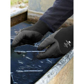 LeMieux Reithandschuhe Thermal Work Schwarz LeMieux Reithandschuhe Thermal Work Schwarz