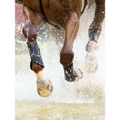 LeMieux Gamaschen MIMsafe XC Front Schwarz LeMieux Gamaschen MIMsafe XC Front Schwarz