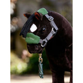 LeMieux Halfterset Toy Pony Vogue Hunter Green LeMieux Halfterset Toy Pony Vogue Hunter Green