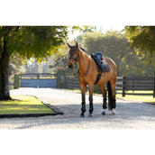 LeMieux Schabracke Brilliance Dressur Espresso LeMieux Schabracke Brilliance Dressur Espresso
