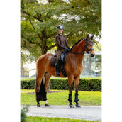 LeMieux Schabracke Brilliance Dressur Espresso LeMieux Schabracke Brilliance Dressur Espresso