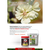 Leovet Kräuterfutter Leovet Kräuterfutter