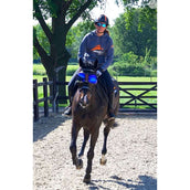 eQuick Brille eVysor Blau eQuick Brille eVysor Blau