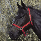 Riding World Halfter Rot Riding World Halfter Rot