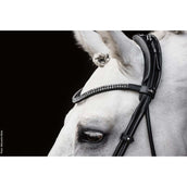 Schockemöhle Trense SP Isabell Werth Satchmo Schwarz/Patent/Silber Schockemöhle Trense SP Isabell Werth Satchmo Schwarz/Patent/Silber