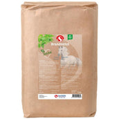 Sectolin Brennnessel Sectolin Brennnessel