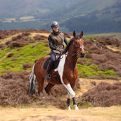 Aubrion by Shires Weste Heritage Dunkelolive Aubrion by Shires Weste Heritage Dunkelolive