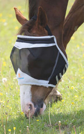 Shires Fliegenmaske Ohne Ohren Mesh Schwarz Shires Fliegenmaske Ohne Ohren Mesh Schwarz