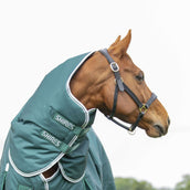 Highlander Original by Shires Winterdecke Turnout 300g mit Halsstück Grün Highlander Original by Shires Winterdecke Turnout 300g mit Halsstück Grün