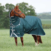 Highlander Original by Shires Winterdecke Turnout 300g mit Halsstück Grün Highlander Original by Shires Winterdecke Turnout 300g mit Halsstück Grün