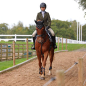 Aubrion by Shires Turnierjacket Saratoga Spruce Grün Check Aubrion by Shires Turnierjacket Saratoga Spruce Grün Check
