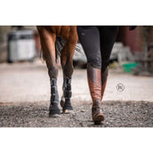 Stübben Equi Compress Set Vorderbeine Stübben Equi Compress Set Vorderbeine