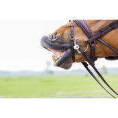 Trust Eggbut Inno Sense Port 20mm Trust Eggbut Inno Sense Port 20mm