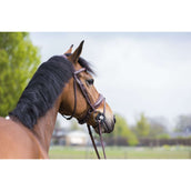 Trust Wassertrense Inno Sense Port Medium 15mm Trust Wassertrense Inno Sense Port Medium 15mm