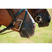 Trust D-bit Sweet Iron 20mm Trust D-bit Sweet Iron 20mm