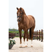 Trust Pessoa Wassertrense Inno Sense 2,5 Ring Flexi Soft 15mm Trust Pessoa Wassertrense Inno Sense 2,5 Ring Flexi Soft 15mm