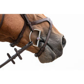 Trust D-bit Sweet Iron Doppeltgebrochen 12mm Trust D-bit Sweet Iron Doppeltgebrochen 12mm