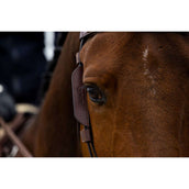 Trust Blinker Schwarz Trust Blinker Schwarz