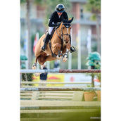 Veredus Reithelm Vita Breiter Visier Schwarz lackiert Veredus Reithelm Vita Breiter Visier Schwarz lackiert