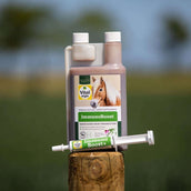 Vitalstyle ImmunoBoost Vitalstyle ImmunoBoost
