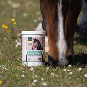 Vitalstyle LongVital Vitalstyle LongVital