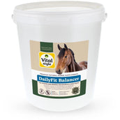 Vitalstyle DailyFit Balancer Vitalstyle DailyFit Balancer